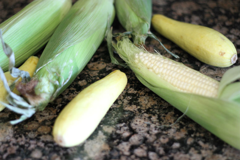 Image of Corn and Squash